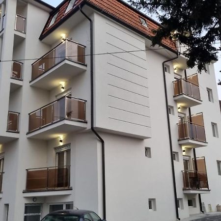 Vila Pcelica Petra Soko Banja Exteriér fotografie