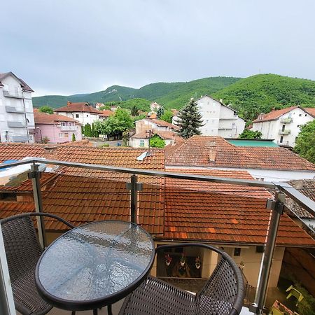 Vila Pcelica Petra Soko Banja Pokoj fotografie