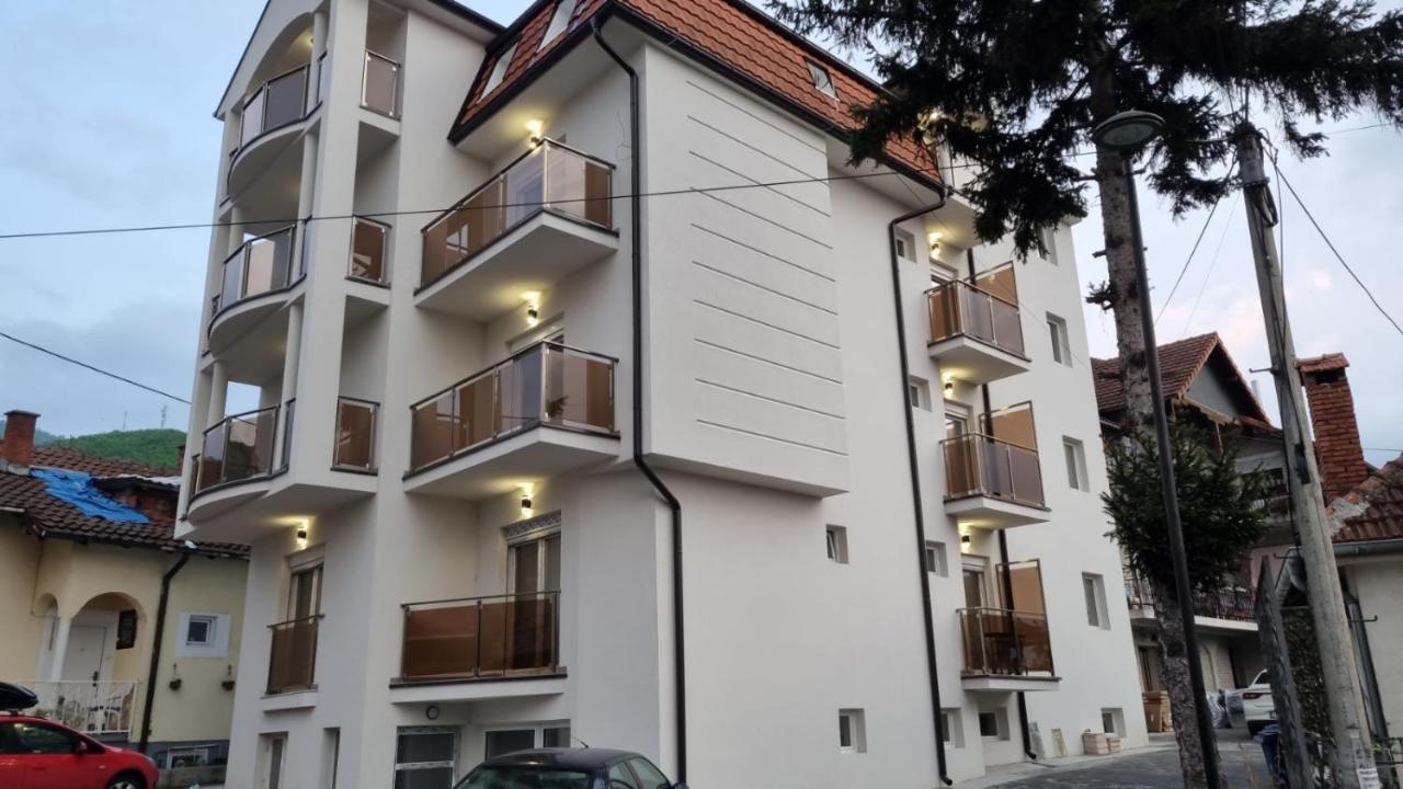 Vila Pcelica Petra Soko Banja Exteriér fotografie