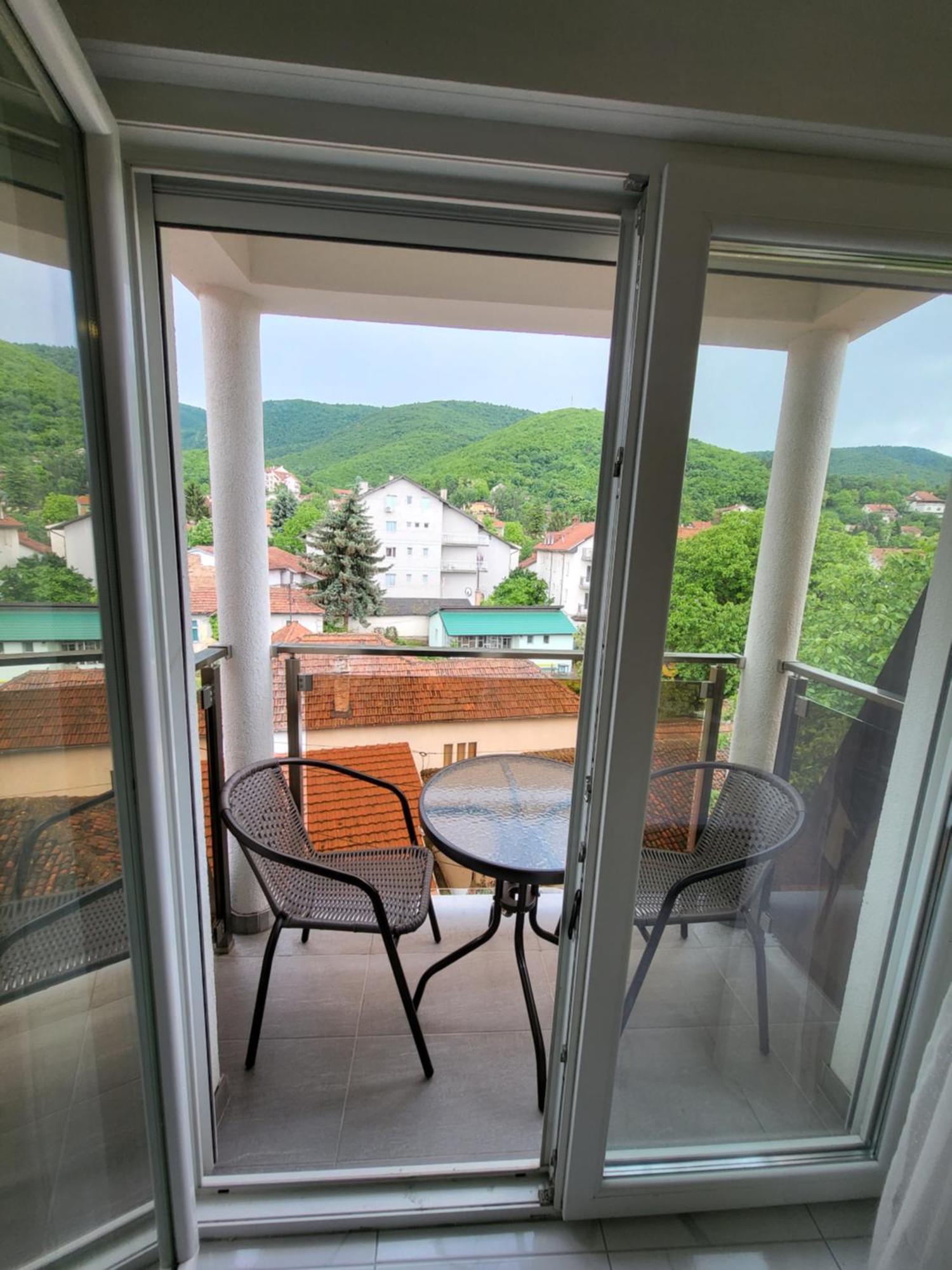 Vila Pcelica Petra Soko Banja Pokoj fotografie