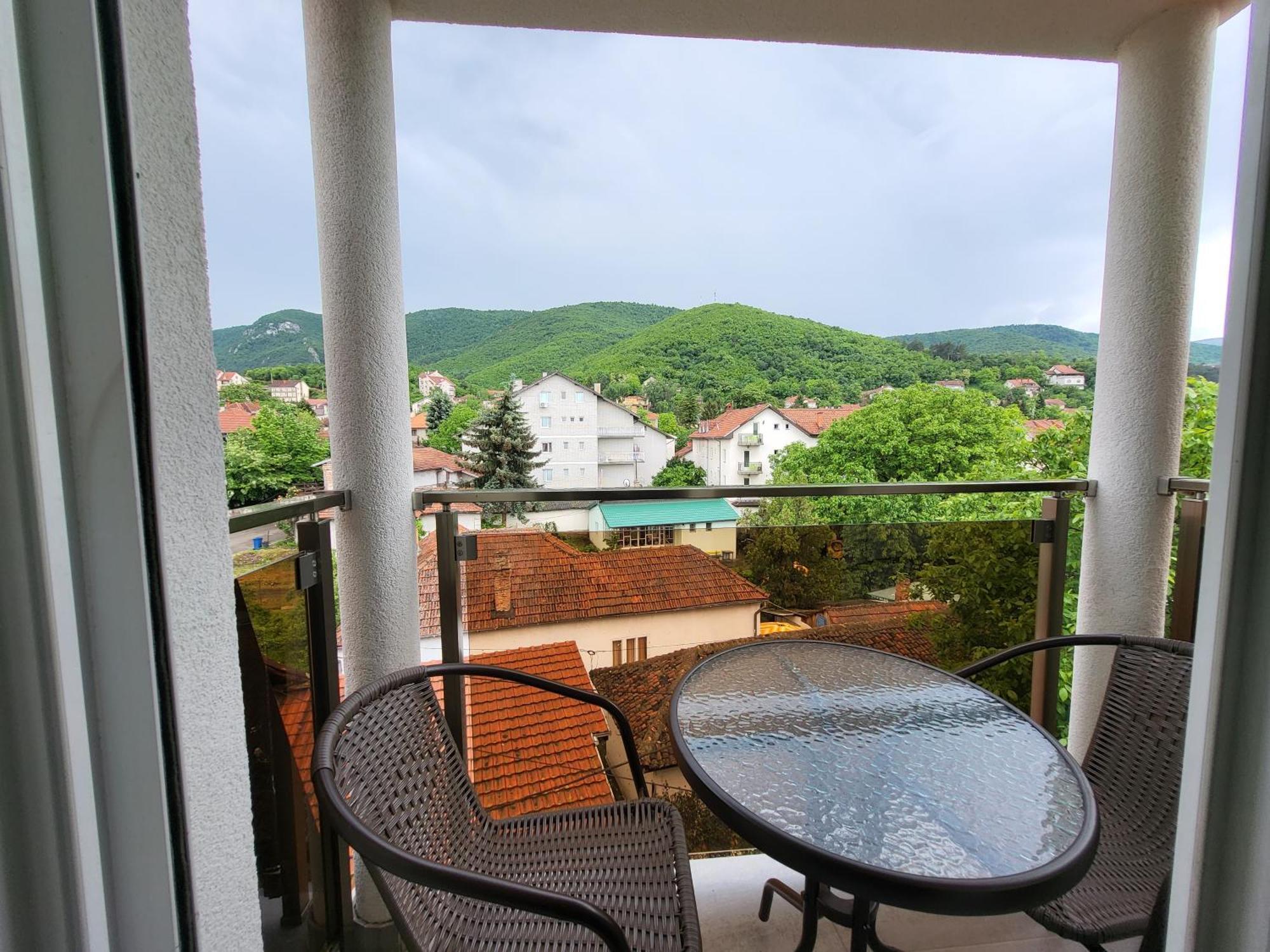 Vila Pcelica Petra Soko Banja Pokoj fotografie